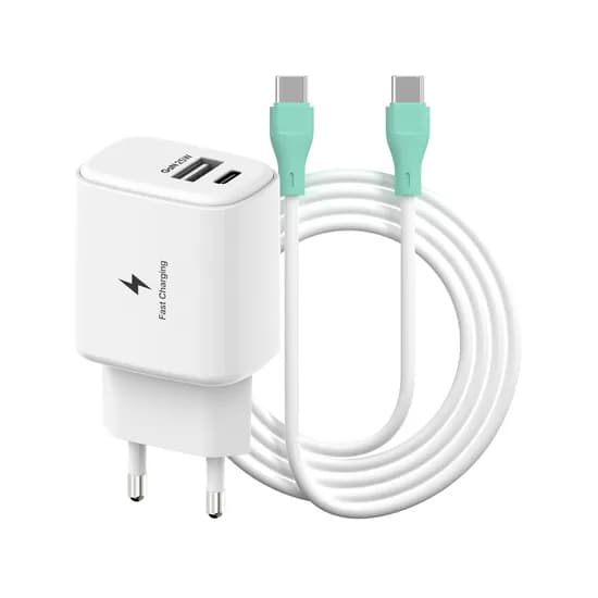 템플러 C타입 25W 초고속 충전기 2포트, TEM-H24-P2SU2, PD, 2m CtoC 케이블 포함, 화이트, 1개