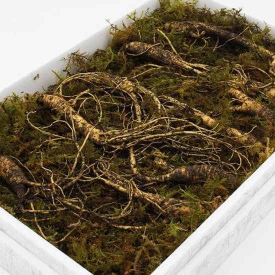 강원도 횡성 산양삼 5-6년산 건강용 30g 1박스