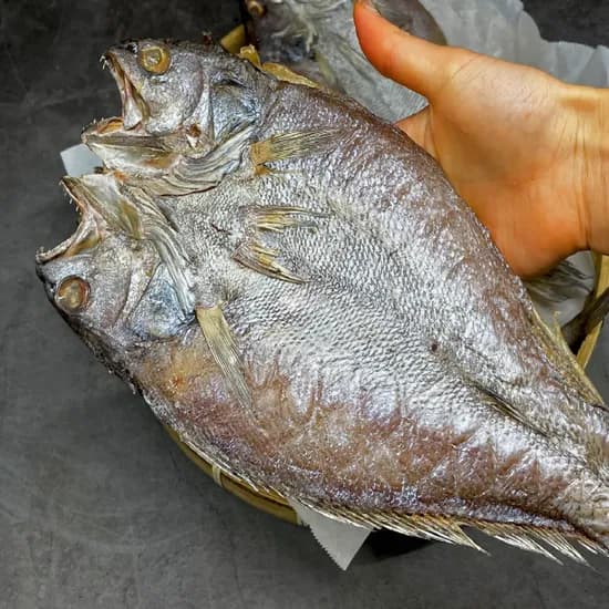 더큰 반건조 민어, 1.4kg 내외, 31cm 내외, 5미, 1세트
