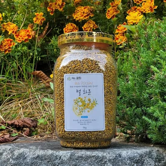Re.끌림 지리산 건조 벌화분 꿀화분 비폴렌 1kg 1개