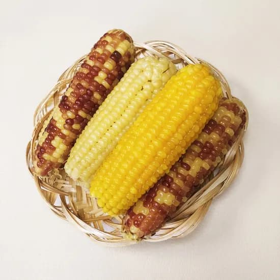 냉동 삶은 홍찰옥수수 5kg 40개 28,000원