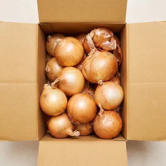 무안 햇 양파 특대 3kg 1개 8,600원