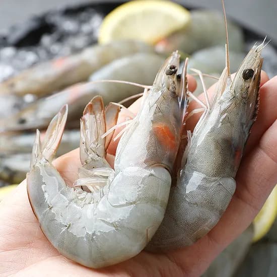대하 흰다리 새우, 1kg, 1개