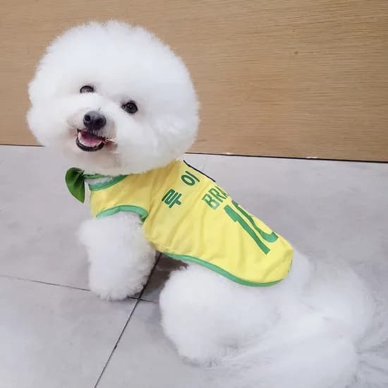 강아지 고양이 이름 각인 축구 유니폼, L, 스페인(일반), 1개