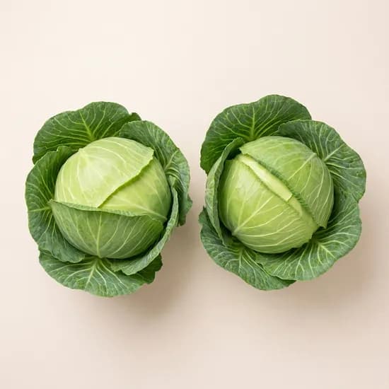 온새미로농산 제주 양배추 1.5kg 2개