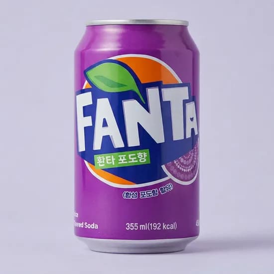 환타 포도맛 355ml 24개