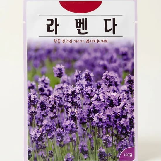 라벤다 100립 머리가 맑아지는 허브 꽃씨 씨앗 종자 100립