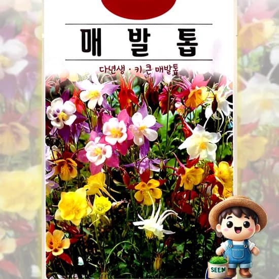 매발톱 키 큰 다년생 꽃씨 씨앗 종자 100립
