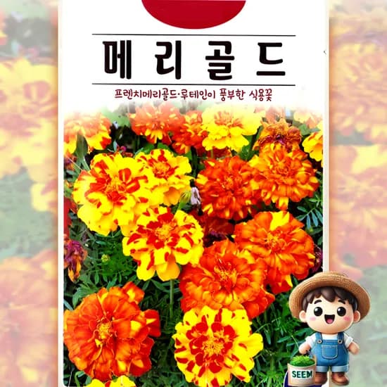 메리골드 100립 루테인 식용꽃 일년생 꽃씨 씨앗 종자, 100립, 1개