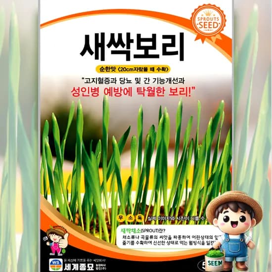 새싹보리 500립 일반종 새싹채소 식용꽃 허브 꽃씨 씨앗 종자 1개