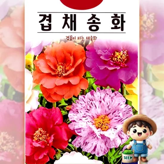 겹채송화, 1000립, 1개