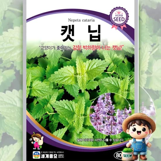 세계종묘 캣닙 800립 일반종 박하향 고양이 식용꽃 허브 꽃씨 씨앗 종자