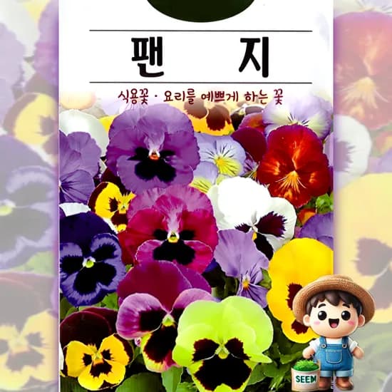 팬지 100립 일반종 혼합 식용꽃 꽃씨 씨앗 종자 고급씨앗 100립 1개