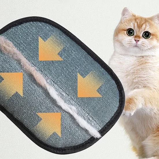 반려동물 고양이 강아지 털 제거 청소 브러시, 블랙, 2개
