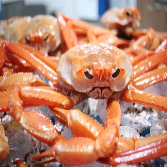 핵폭탄 홍게 6kg 1개