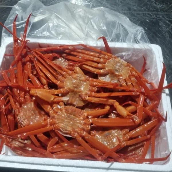 마구잡이 홍게 7kg 1세트
