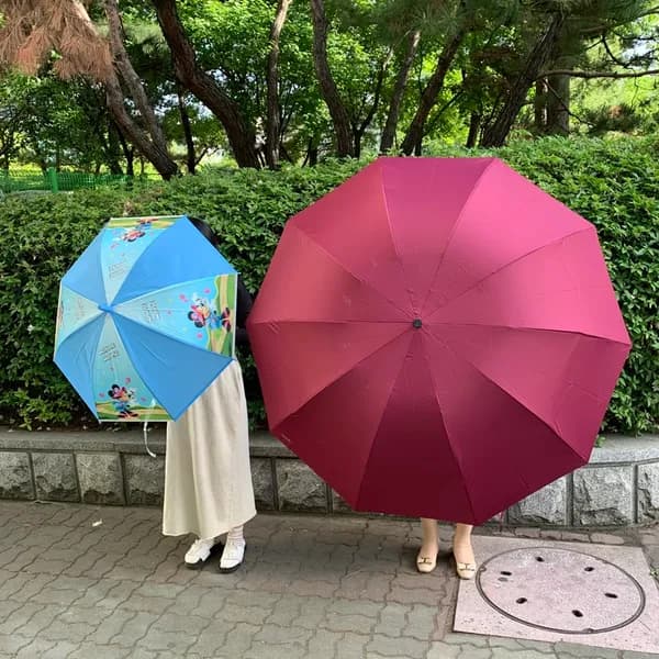 2인용 초대형 3단 접이식 우산 와인 1개