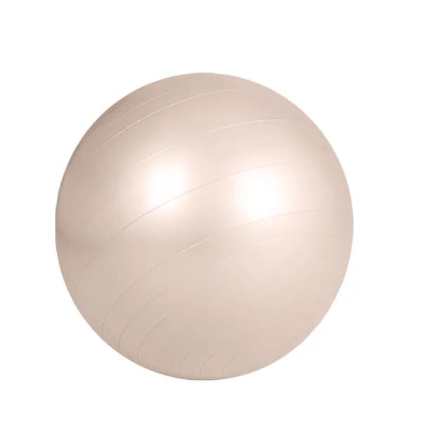 레토 안티버스트 짐볼 LSL-GB65 샌드옐로우 65CM 1개