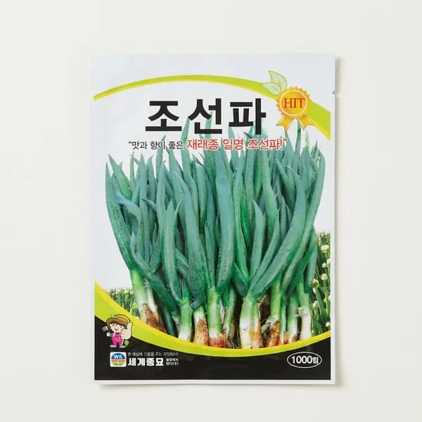 세계종묘 조선파 씨앗 1천립