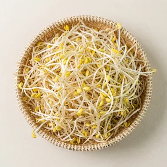 국내산 콩나물 1kg 1박스