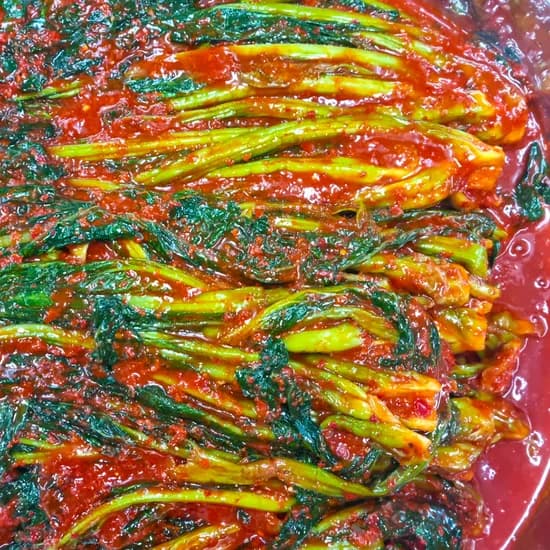밥앤찬 전라도 여수식 갓김치 1kg 9,300원