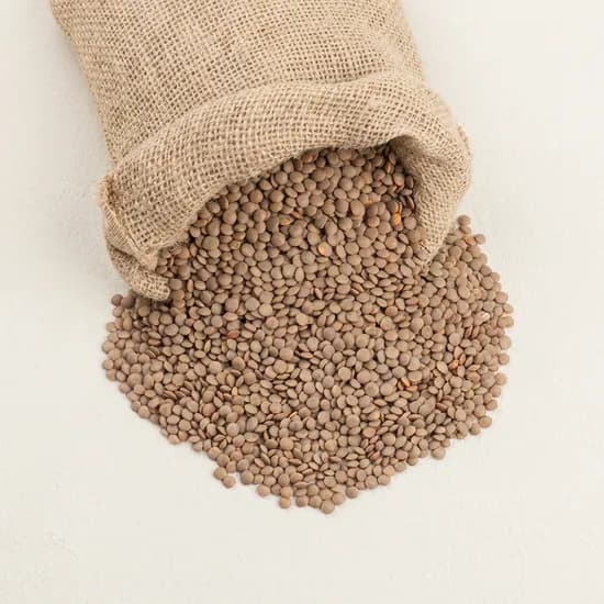 캐나다산 브라운 렌틸콩 2kg 1개