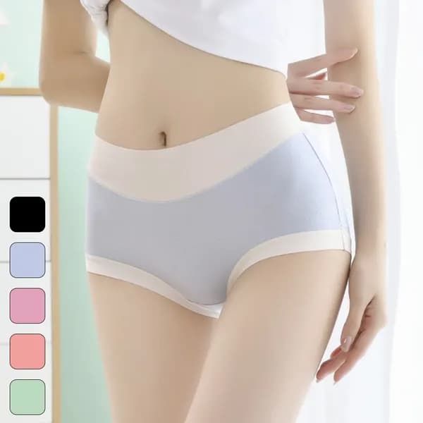 심리스 모달 투톤 팬티 블루 XL 1개 2,871원