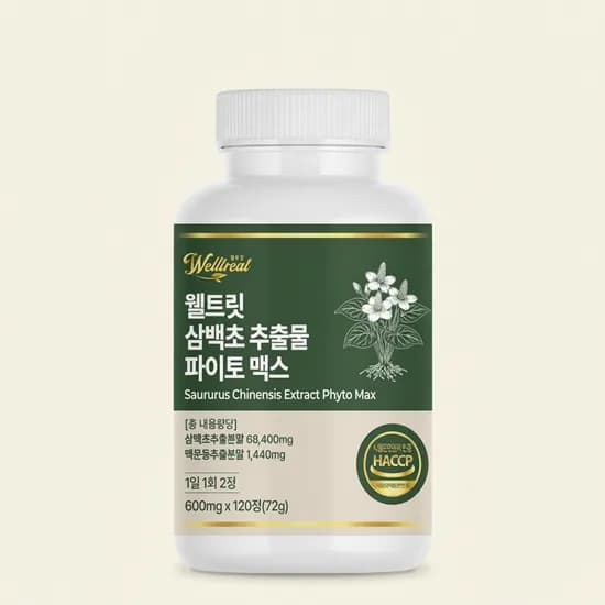 웰트릿 삼백초 추출물 파이토 맥스 600mg 120정 3개