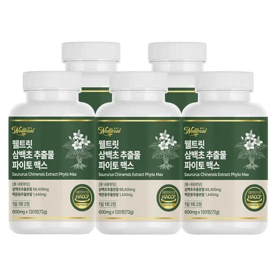 웰트릿 삼백초 추출물 파이토 맥스 600mg 120정 5개