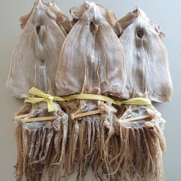 동해 해풍 건조오징어 200g 5마리 25,900원