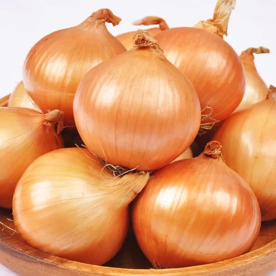 조이야드 국내산 햇 양파 특 5kg 1박스