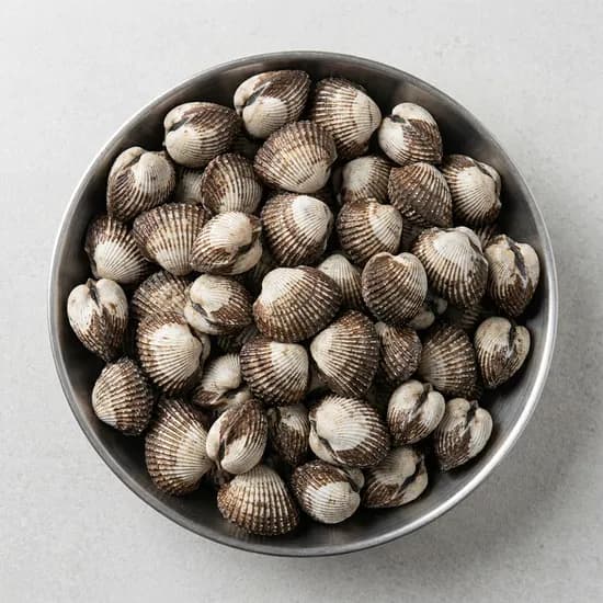 벌교 새꼬막 대 1kg 1개
