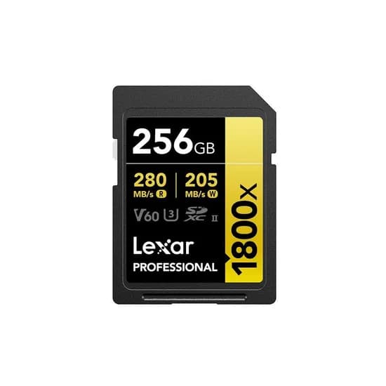 렉사 프로패셔널 1800X SD 메모리카드, SDXC UHS-II, 256GB, 1개