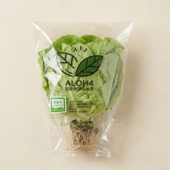알로하채소농장 유럽 샐러드 채소 1개 1kg