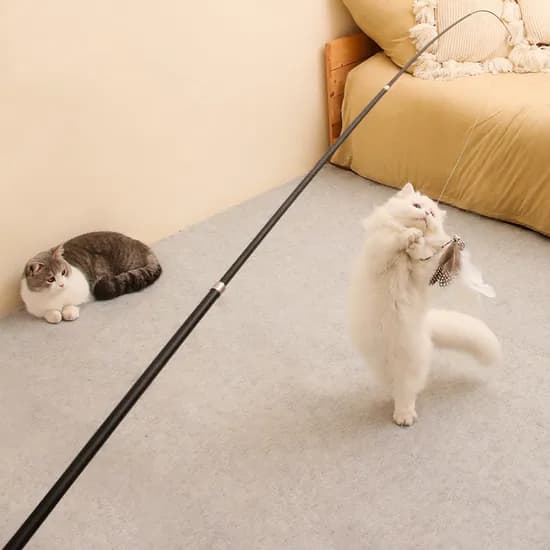 4단 고양이 낚시대, 4단고양이낚시대, 2개