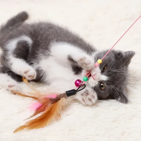 고양이 깃털 낚시대, 3개