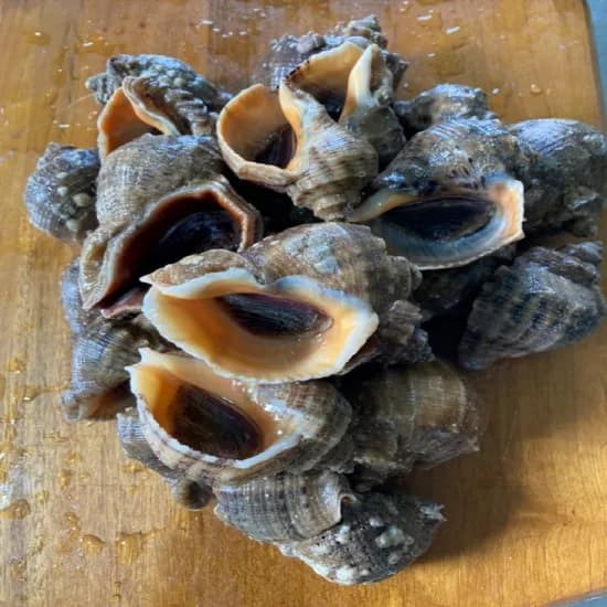 연평 참소라, 1kg, 20~25미 내외, 1개
