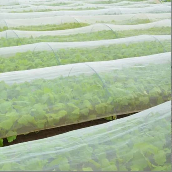 바르토 농작물보호망 한랭사 2m x 50m 1개