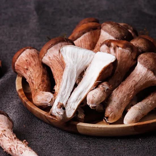 솔방 365 신선 논산 참송이버섯 가정용 1kg 1박스