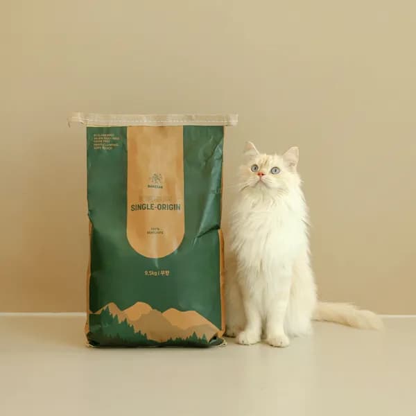 반짝 벤토나이트 싱글오리진 고양이 무향 일반입자 9.5kg 2포 33,900원