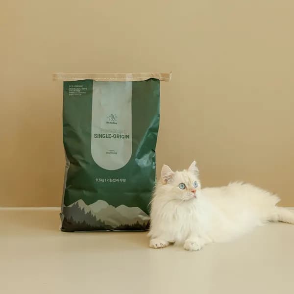 반짝 벤토나이트 싱글오리진 고양이 모래 9.5kg 2포