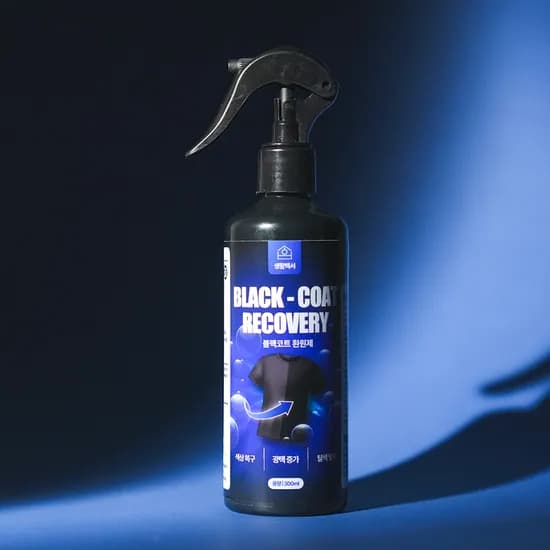생활백서 블랙 컬러 복원 스프레이 블랙 300ml 1개