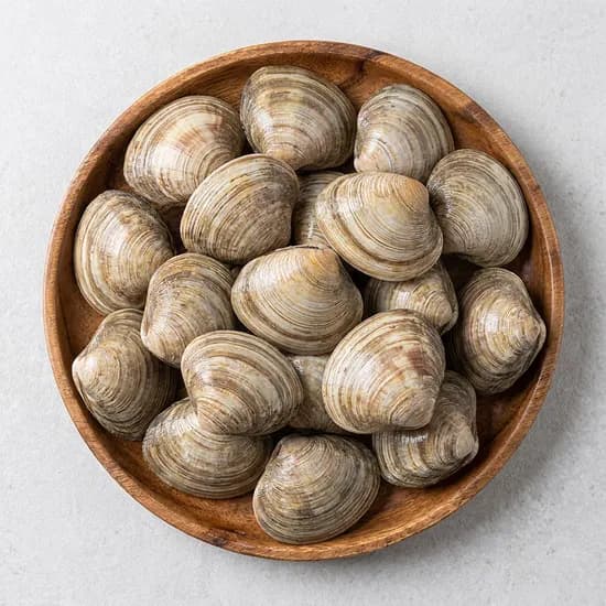 살아있는 활 생합 3kg