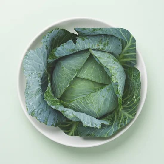 국내산 아삭 양배추 1.5kg 1개