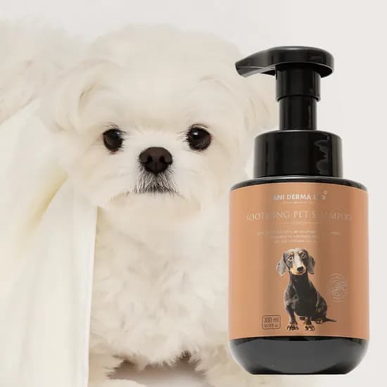 애니더마랩 저자극 약용 강아지 샴푸, 300ml, 1개