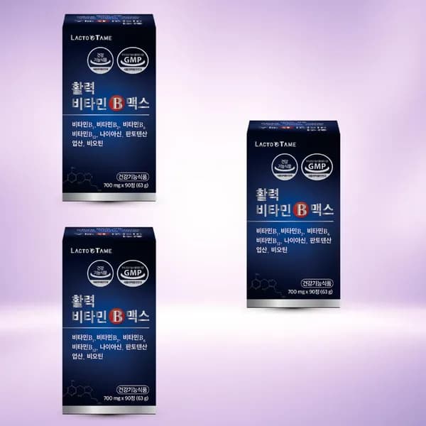 락토테미 활력 비타민B 맥스 3박스
