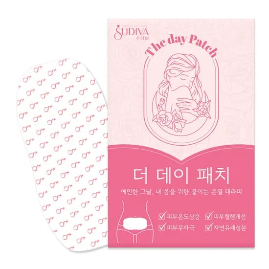 수디바 더데이 패치 온열패치 10매입 1개