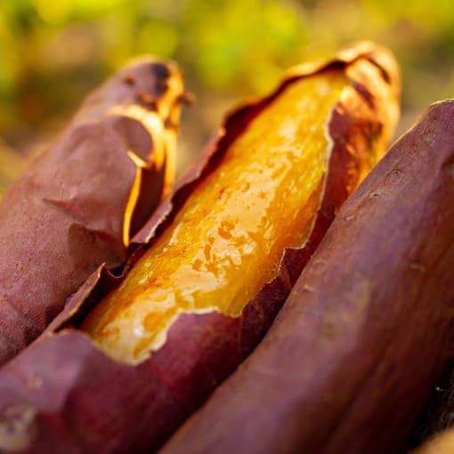 2kg 꿀고구마 햇 밤 고구마 베니하루카 [원산지:국산(영암,해남)]