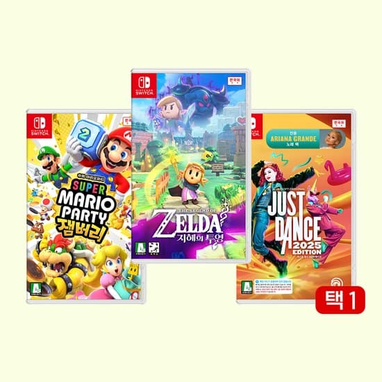 젤다 지혜의 투영