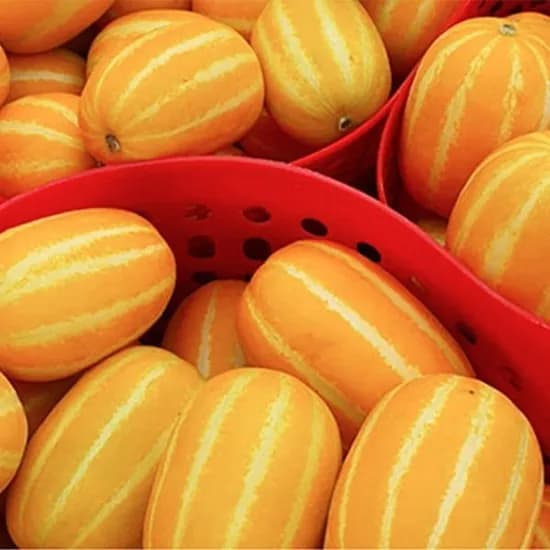 성주 참외 10kg 혼합과 (6,990원 / 무료)